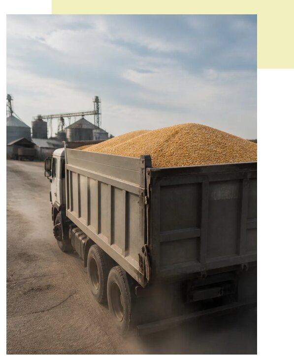 Перевозка сельхозпродукции навалом в Ижевск по цене от 3116 р. | Агросервис-Жвс