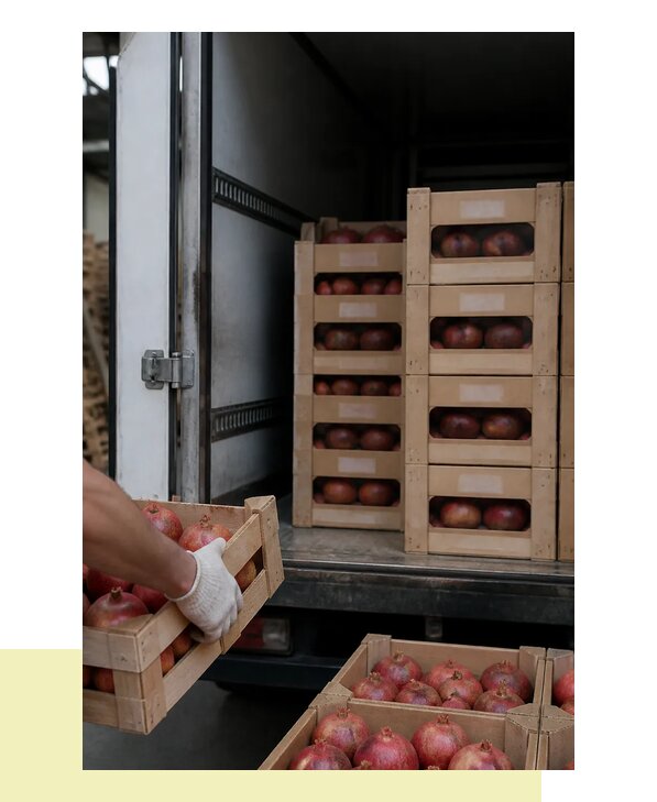 Перевозка гранатов в Ижевск с доставкой оптом и в розницу