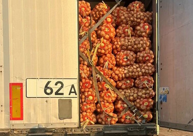 Большая партия лука